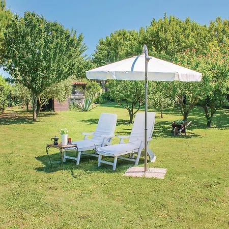 Appartamento Three-bedroom In Monterciano -an- *